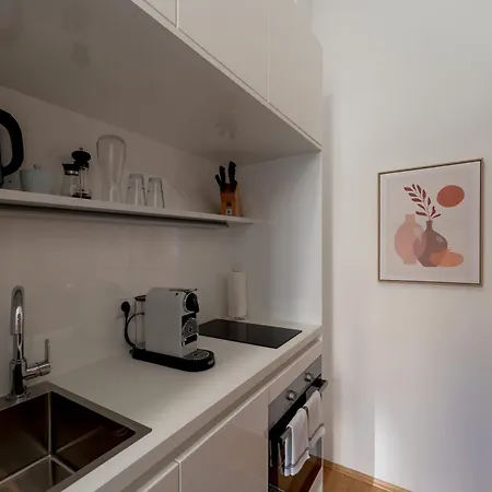 Premium In Altstadtnaehe Apartment Graz